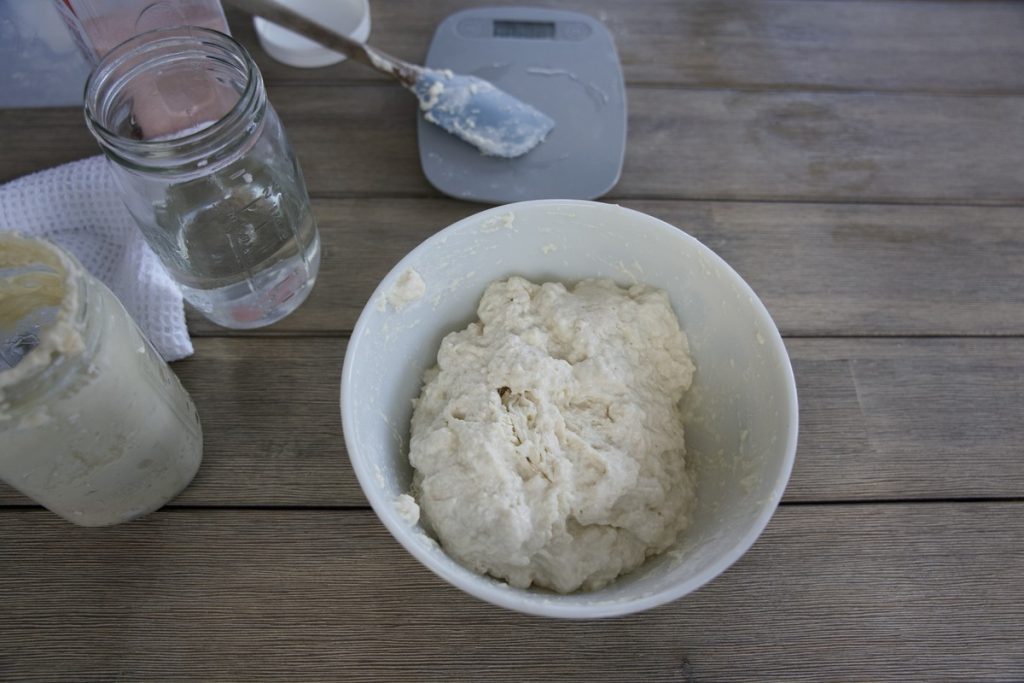 sourdough ingredients: flour, salt, water and active sourdough starter just mixed together in large mixing bowl.