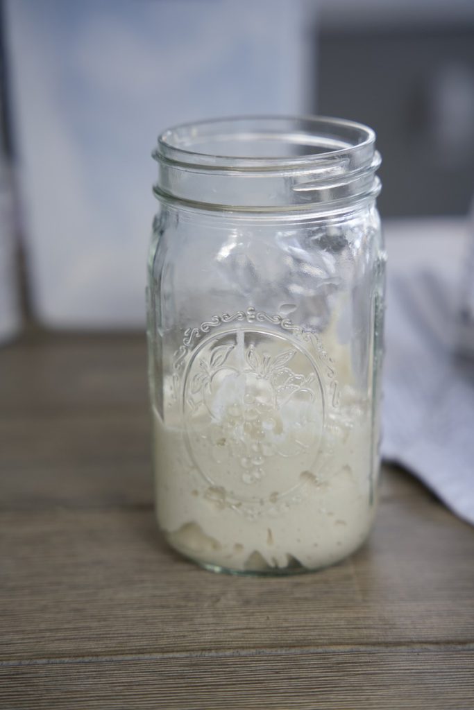 just fed sourdough starter in quart mason jar, not risen yet