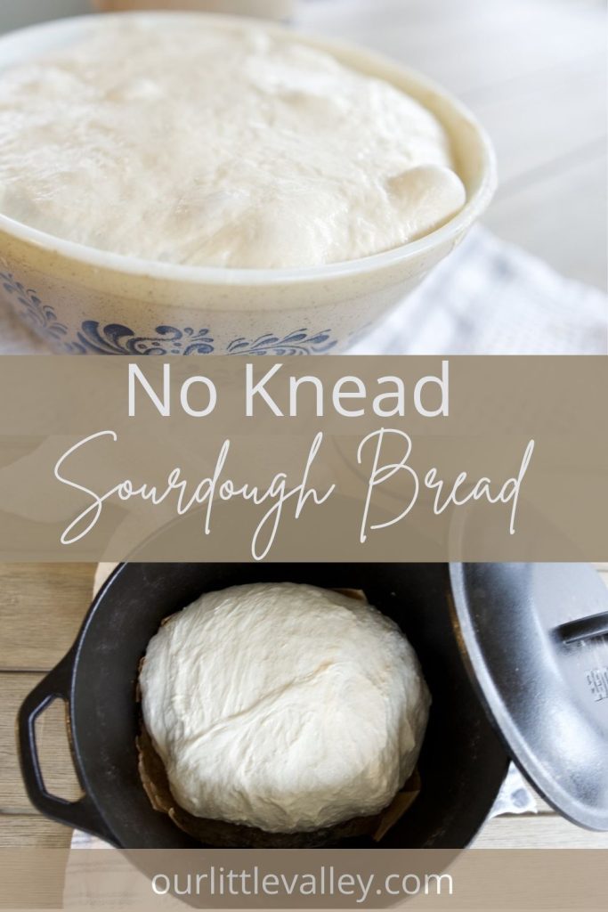 no knead sourdough bread dough rising in bowl in top picture and ready to bake dough in dutch oven in bottom photo
