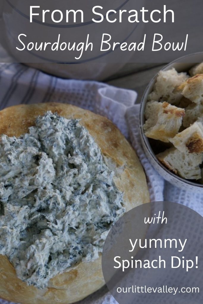 sourdough bread bowl completed with spinach dip, pinterest image