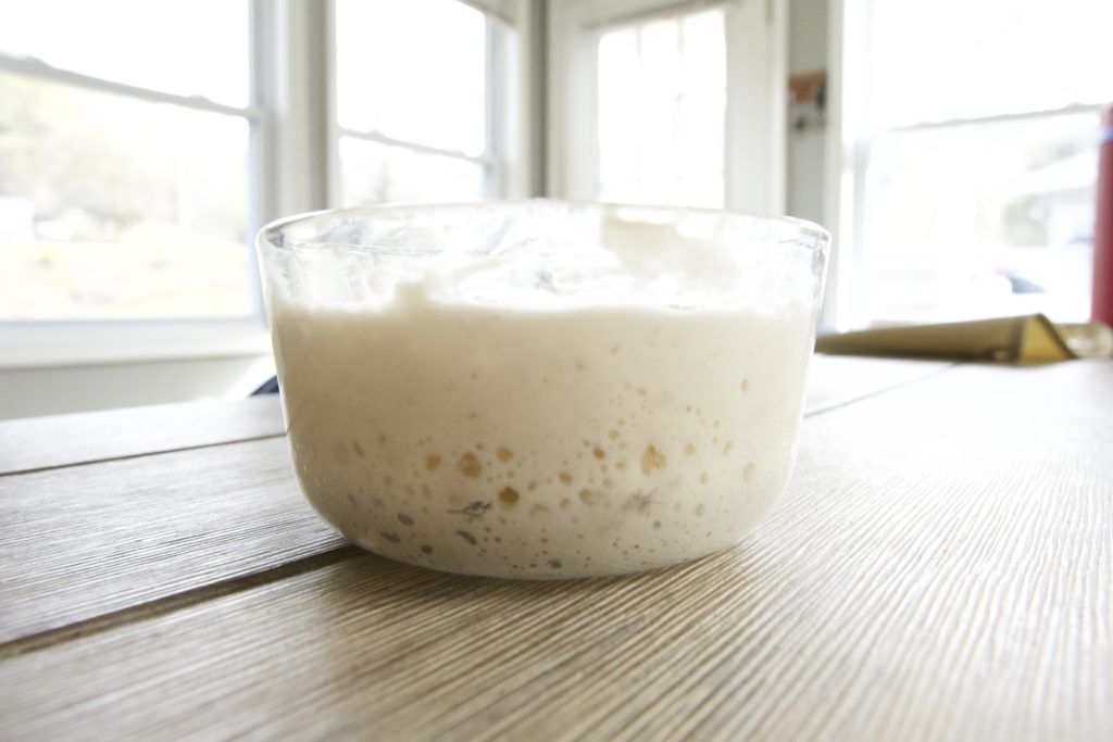 simple sourdough starter in a small glass bowl, bubbly and doubled in size