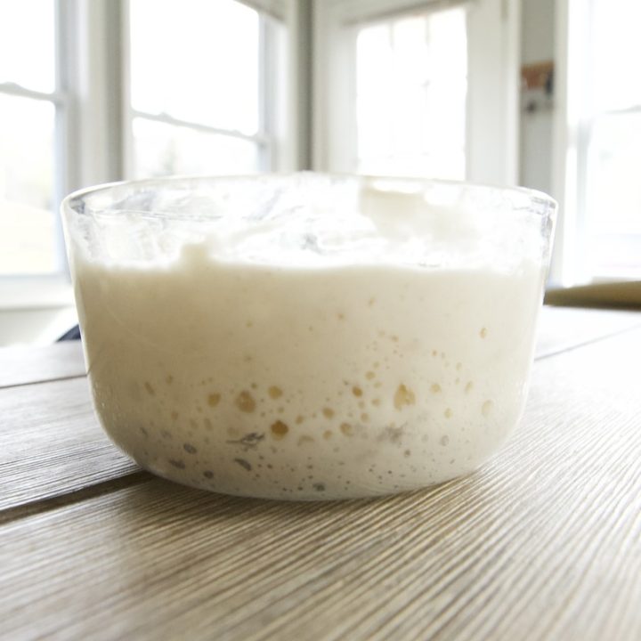simple sourdough starter in a small glass bowl, bubbly and doubled in size