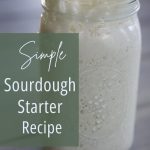 large jar with sourdough starter active and bubbly for simple sourdough starter recipe