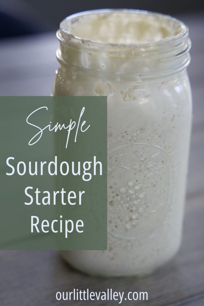 large jar with sourdough starter active and bubbly for simple sourdough starter recipe