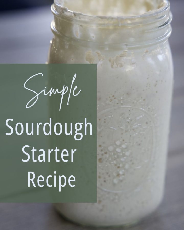 large jar with sourdough starter active and bubbly for simple sourdough starter recipe