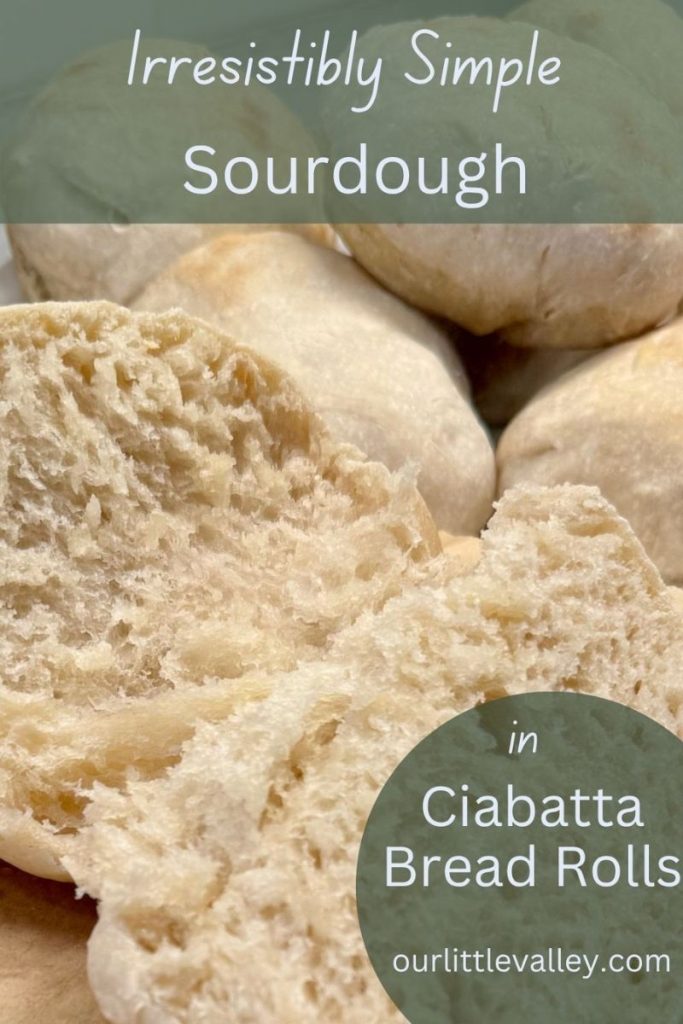 baked and sliced sourdough for sourdough ciabatta bread roll recipe