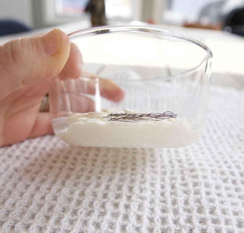 small glass bowl in woman's hand on white tea towel. Glass bowl marked with black marker on day 7 to test growth of starter for simple sourdough starter recipe.