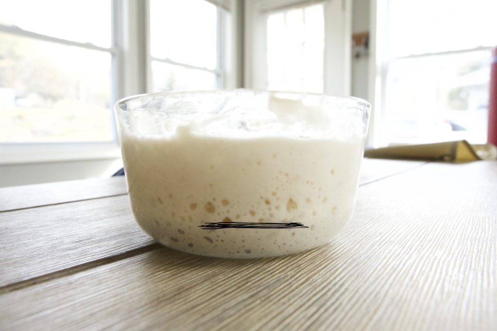 small glass bowl on wooden table day 8 or 9 with starter more than doubled in size with lots of bubbles for simple sourdough starter recipe.