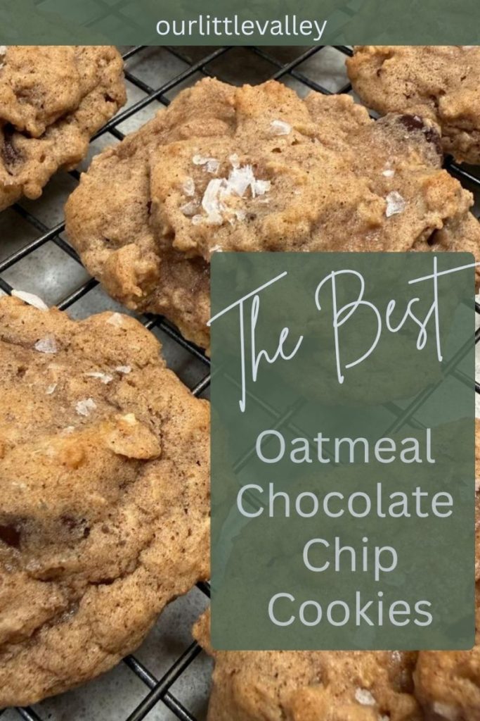 Pinterest image for The Best Oatmeal chocolate chip cookie recipe with baked cookies on cooling rack